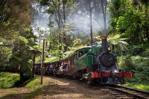 Puffing Billy Steam Train and Penguins Wildlife Tour