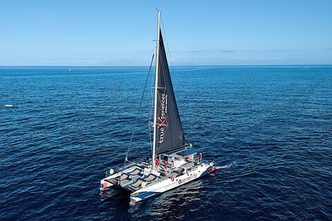 Whale watching and listening Eco-Catamaran Tour with Food Tasting