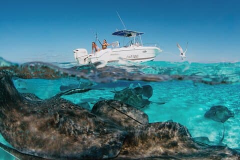 Cayman Islands 3‑Hour Custom Private Charter