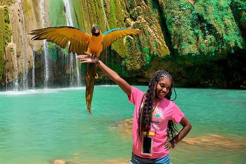 Adventure in Samaná : Lemon Waterfall, Whales