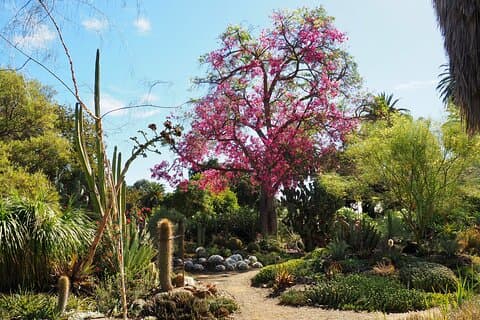 Ruth Bancroft Garden General Admission Ticket