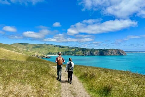 Full-Day Godley Head Coastal Hike with Picnic Lunch