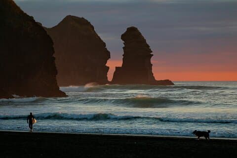Piha Beach & Wilderness Nature : PRIVATE TOUR 7 hrs