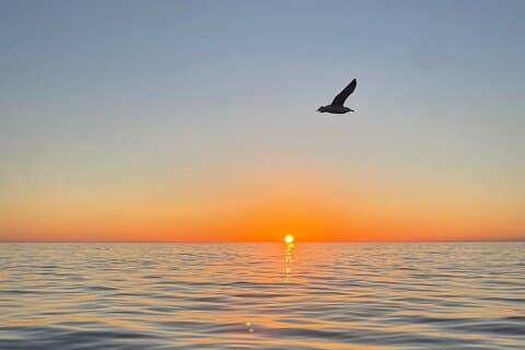 Where the Sun sets: your 5Terre Chill Cruise