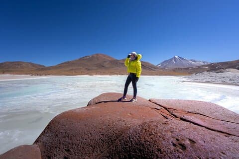 Full Day Tour Piedras Rojas Altiplanic Lagoons Chaxa Lagoon
