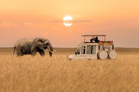 2 Days Private Budget Safari to Tarangire NP & Ngorongoro Crater
