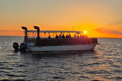 Fort Myers Beach Sunset and Dolphin Watching Cruise