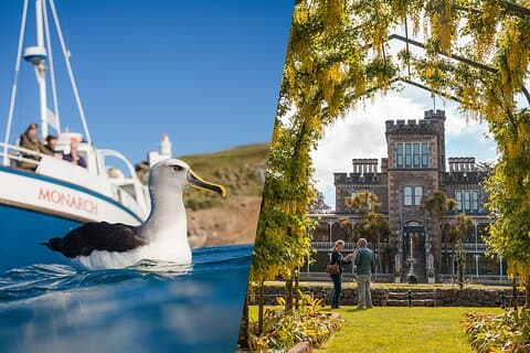 Larnach Castle & Otago Wildlife Cruise from Dunedin