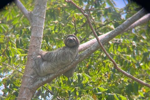 Explore Panama Canal and Gatun Lake with Rainforest Hike