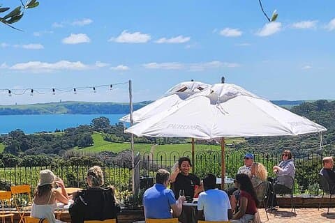 Auckland: Waiheke Wine Tour: 4 Vineyards, Local Guide, Great Day