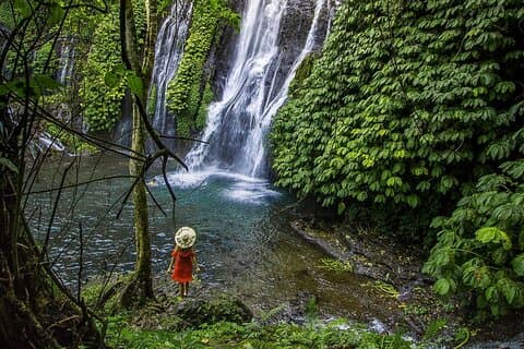 Most Beautiful Waterfall: Banyumala Waterfall