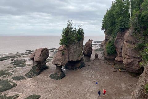 Shore and Hopewell Rocks Guided Tour