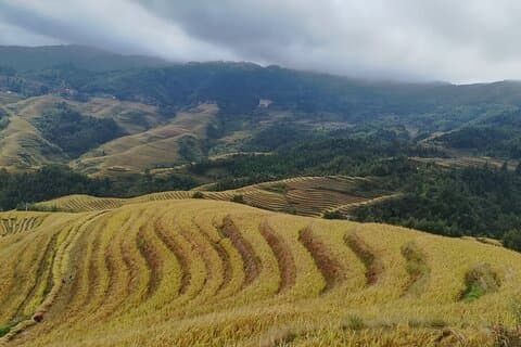 Guilin: Longji Rice Terraces – Dazhai & Pingan Day Tour