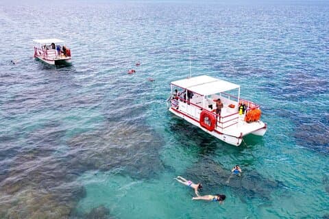 Diving in Maracajau (catamaran included) - From Christmas van