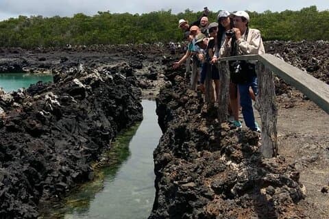 Tintoreras Islet Tour from Isabela - Hiking & Snorkeling