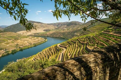 Private Douro Valley Tour: Boutique Winery & River Cruise
