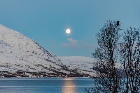 5 Fjords Tour by Minivan in 4 Hours