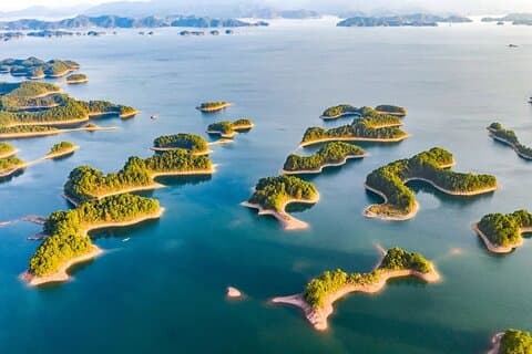 Hangzhou Private Customized Day Trip from SH by Bullet Train