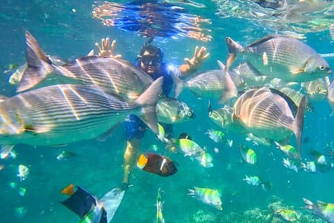 Snorkeling at Los Arcos 5 islands Hidden Beach and Cliff Jumping