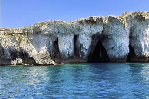 Boat tour with dolphin sighting