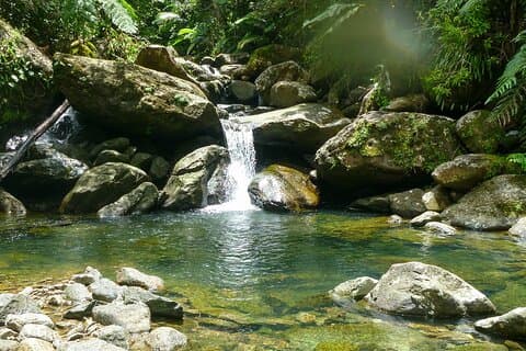 Yunque & Piñones Tour Hike Eat & Adventure with a Local; San Juan
