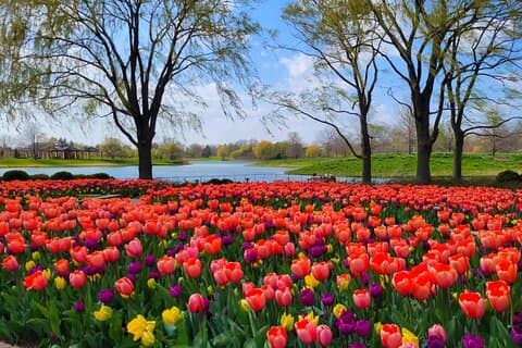 Chicago Suburbs Hidden Gems: Small-Group Exploration Tour