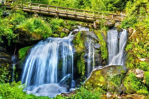 Zurich Black Forest (Private Tour)
