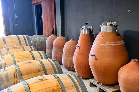 Tarragona Private Escape: Ancient Ruins, Olive Oil & Soulful Meal