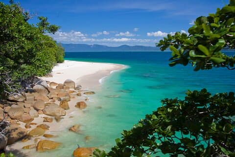 Afternoon Fitzroy Island Escape – Return Ferry Included