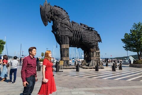 Troy Full-Day Guided Tour incl. Transfer, Ferry Tickets w/Lunch