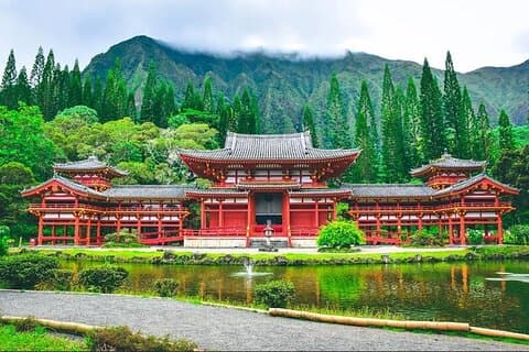 Oahu: full day circle island tour-snorkeling/breakfast included