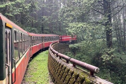 Alishan Join-in Day Tour from Kaohsiung (Incl. Park Entrance)