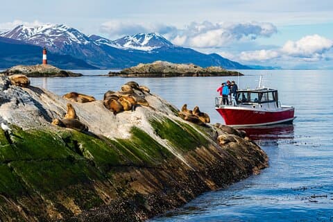Beagle Canal Tour with Small Group Hiking