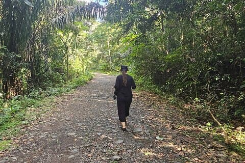 Gamboa Rainforest: Hike Trail, Boat Expedition & Optional Zipline