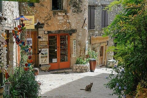 Tour Grasse and medieval villages of Gourdon, Tourette & St Paul