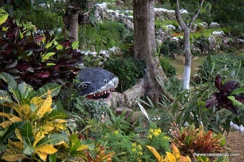 Ahhh Rasnatango Gallery and Garden