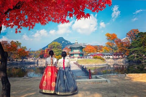 Private Tour: Seoul or DMZ
