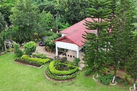 Guwahati Tea Garden Tour with Lunch (Premium Experience)
