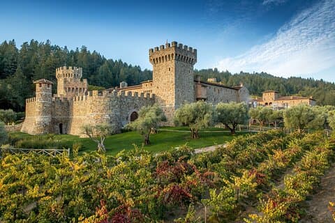 Napa Valley Wine and Food Tasting Tour from San Francisco