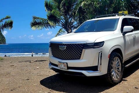 Maui: VIP Private Road to Hana Tour with Pick Up