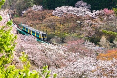 North Ibaraki Tour