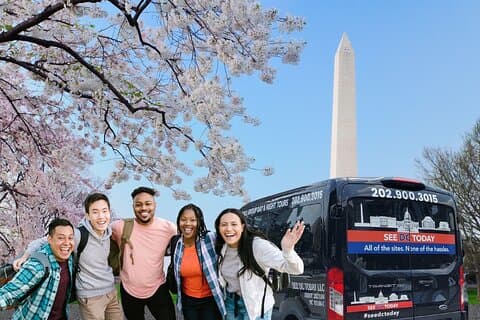 Washington DC Small-Group Sightseeing Experience