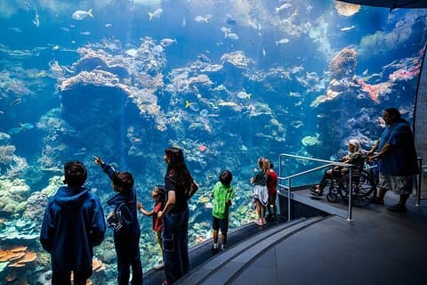 California Academy of Sciences General Admission Ticket