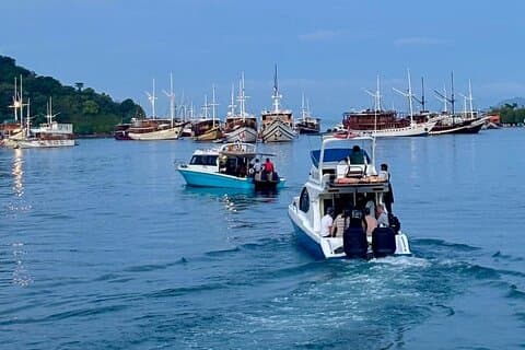 Early Morning Group Speedboat Tour to Komodo National Park