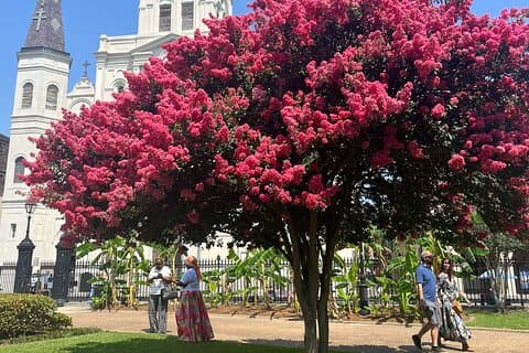 French Quarter Historical Sights and Stories Walking Tour