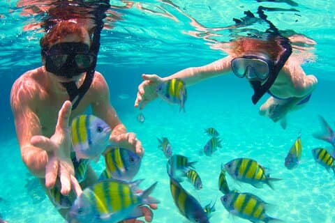 5 Stop Boat Tour Rosario Islands with Lunch, Forts, & Snorkeling