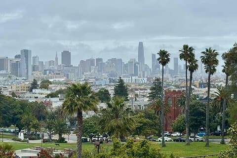 San Francisco Private City Tour in New EV Volkswagen Van