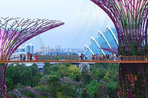 Singapore OCBC Skyway Flower dome Cloud Forest Garden by the Bay