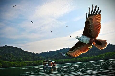 Malaysia Langkawi Island Hopping Tour Experience