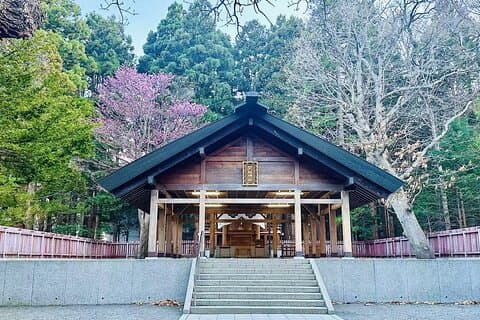 Sapporo Hidden Gems Walking Tour: Hokkaido Shrine, Mt.Moiwa, Cafe